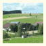 Landhotel Tanneneck: fotografie