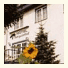 Hotel Borgwarthof garni