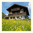 Haus Panorama: fotografie