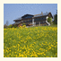 Landhotel Schwarzenbach: fotografie