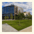 Radisson Blu Hotel, Rostock: fotografie
