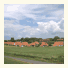 Cuxland-Ferienpark Nordseebad Wremen