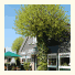 Ringhotel Paulsen