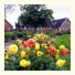 Give Bed & Breakfast: fotografie