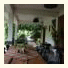 Hibiscus Valley Inn
