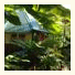 Roots Jungle Retreat