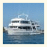 Crucero Estrella de Mar