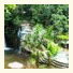 Kashama Eco Resort & Spa