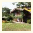 El Abrazo del Arbol - Farm Eco Lodge