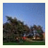 Pedase Hotel & Guesthouse: fotografie