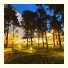 Hotel Dzingel: fotografie