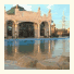 Jungle Aqua Park