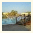 Best Western Solitaire Resort: fotografie