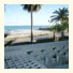 Apartamentos Marineu Playa Romana: fotografie