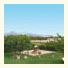 Agroturismo Son Terrades