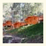 Albergue Camping El Chorro