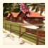 Cabañas de Lires