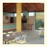 Apartamentos Turísticos los Llanos: fotografie