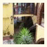 Hotel Molino De Saydo