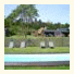 Casas do Campo