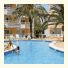 Palm Garden: fotografie