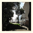 Nightlife Apartments: fotografie