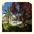 Apartamentos Ebano: fotografie