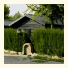 Bungalows - Càmping El Solsonès