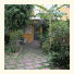 Villa Albero: fotografie