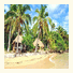 Waisalima Beach Resort & Dive Centre