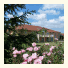 Best Western Golf d'Albon