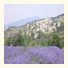 Logis Le Relais Du Mont Ventoux