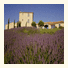 La Bastide de Capelongue