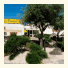 Le Provencal
