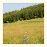 Camping De La Besse