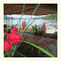 Le Beau Rivage