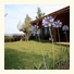 L'hotellerie Kouros