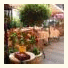 Hotel Restaurant Henri IV