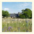 Domaine De Pradines