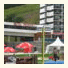 Hotel Le Pelvoux: fotografie
