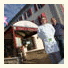 Le Logis Des Voyageurs