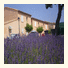 Hameau Des Oliviers