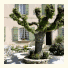 Logis Le Siecle