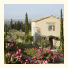 Domaine Le Hameau Des Baux: fotografie