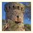 Tour Génoise Micalona