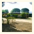 Les Pins Pitchouns: fotografie