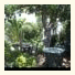 Hotel les Acanthes