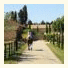 Domaine Haras de Saint Estève