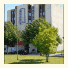 Ibis Styles Paris Saint Denis La Plaine: fotografie