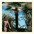 Domaine De La Plage: fotografie